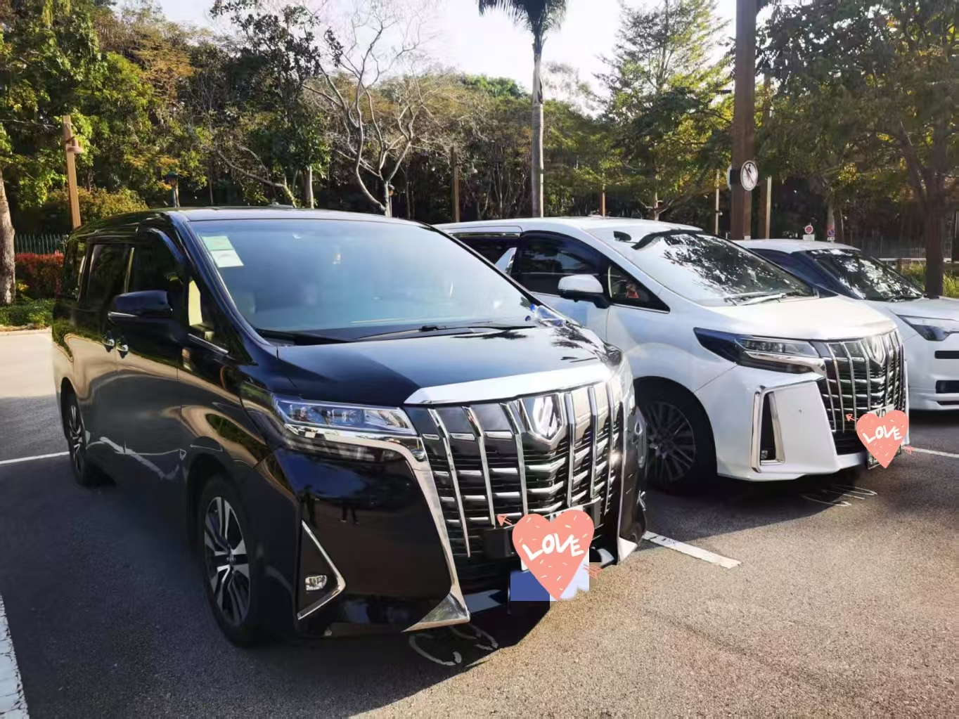 豪華豐田埃爾法七座商務車